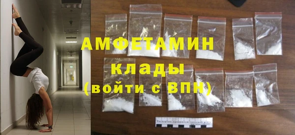 МДПВ Бородино