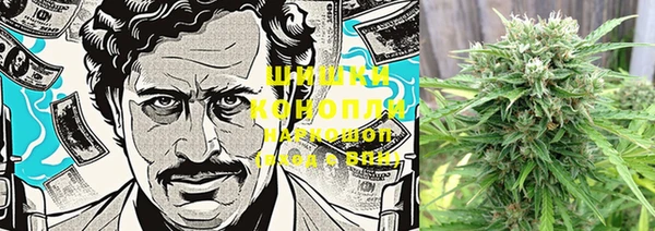 ПСИЛОЦИБИНОВЫЕ ГРИБЫ Тавда