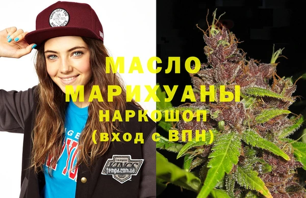 МДПВ Бородино