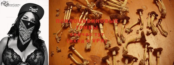 не бодяженный Богородицк