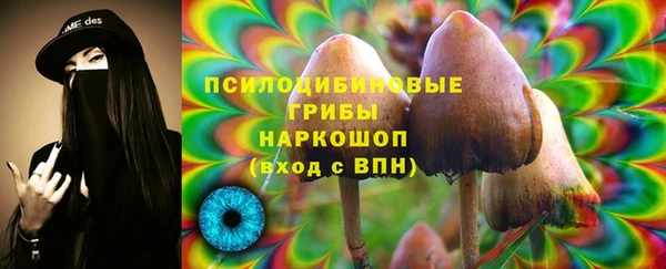 соль ск Бронницы