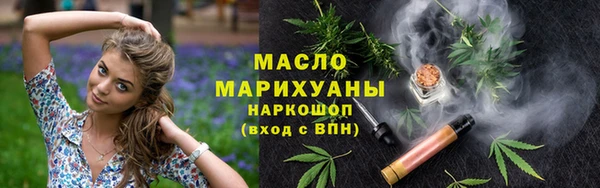 МДПВ Бородино